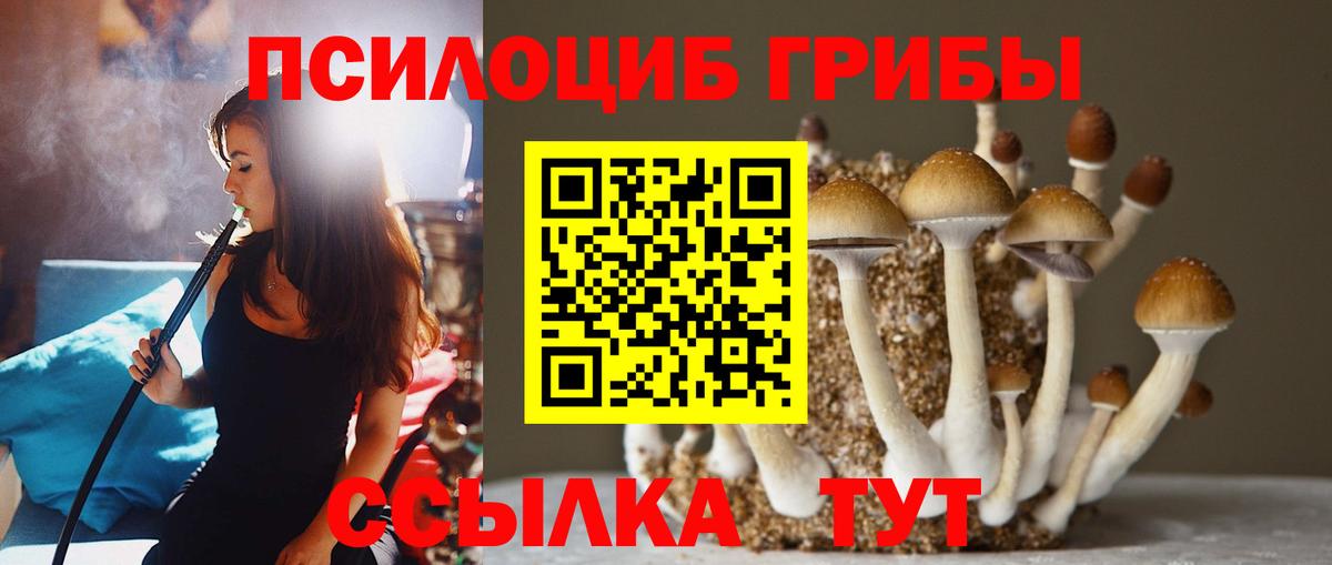 Псилоцибиновые грибы Psilocybe  где купить   Корсаков  Вход с VPN 